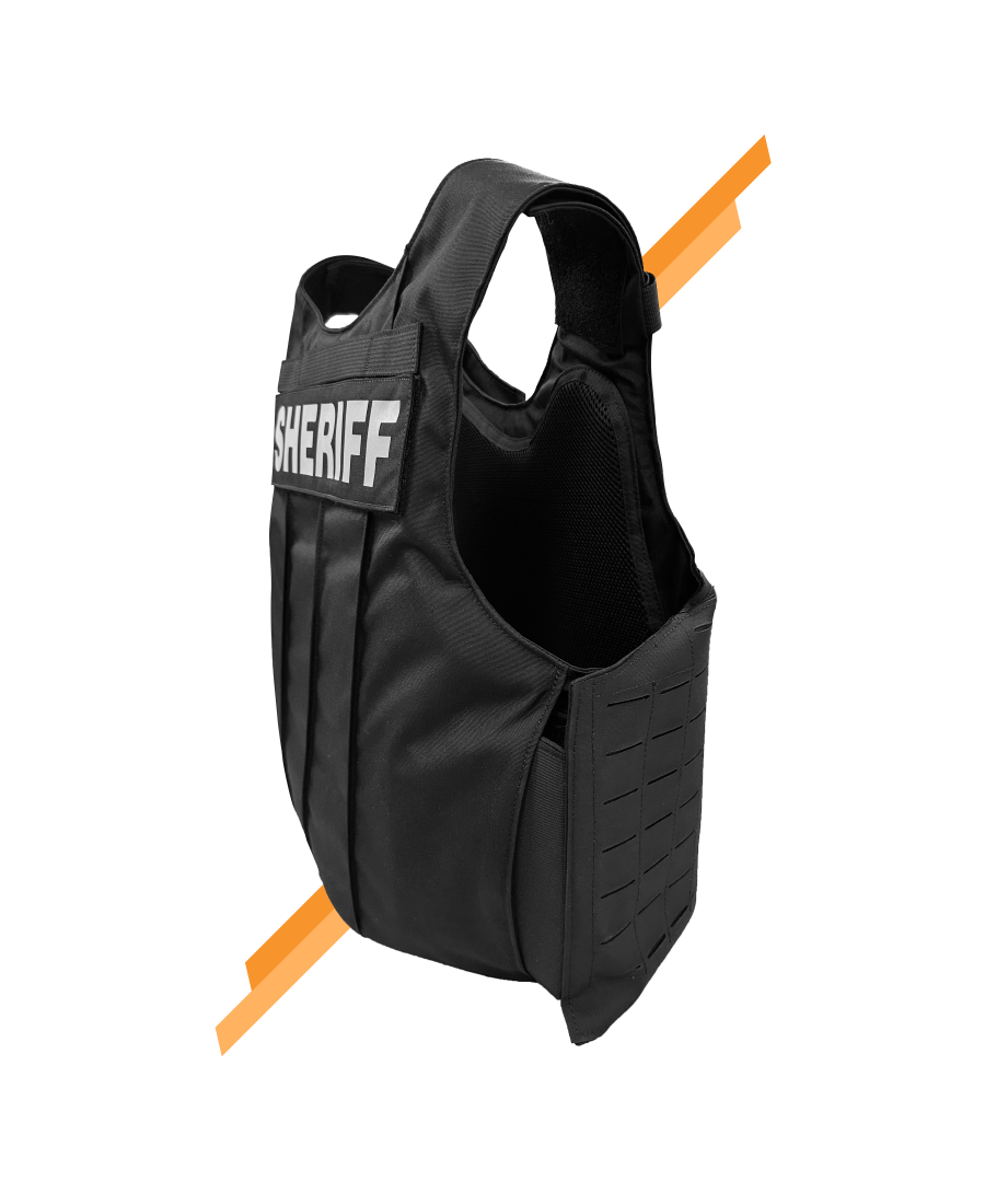 THE GUARDIAN LASER W/ULTRA PANEL (PAX LVL-II)