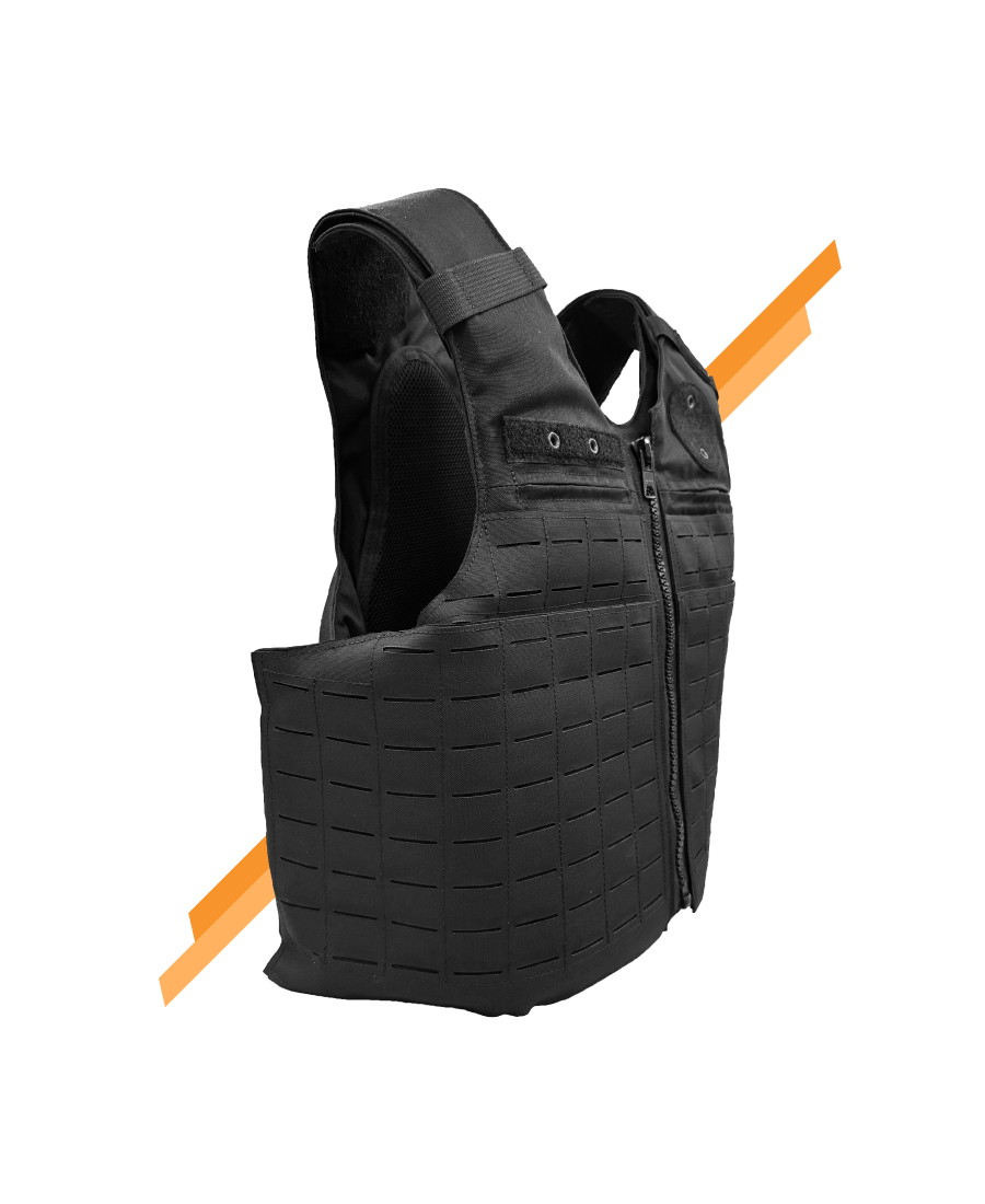 THE GUARDIAN LASER W/ULTRA PANEL (PAX LVL-II)